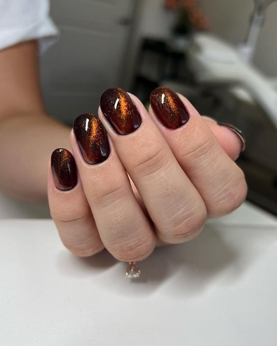 nail màu nâu mắt mèo
