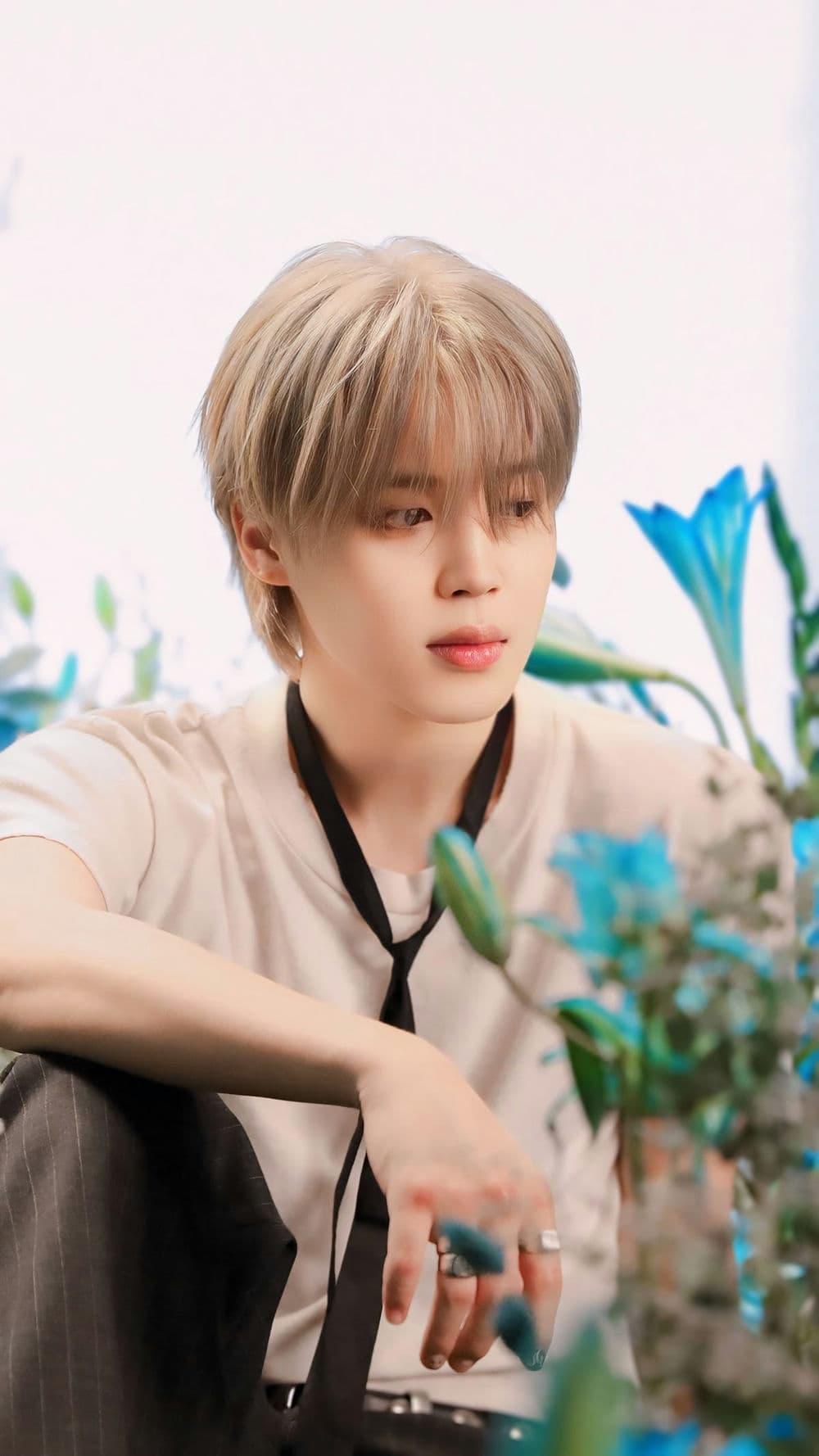 Ảnh sân khấu jimin lớn