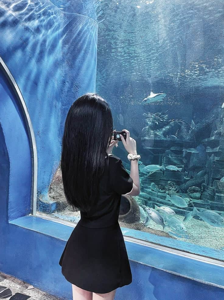 gái xinh tạo dáng lưng.