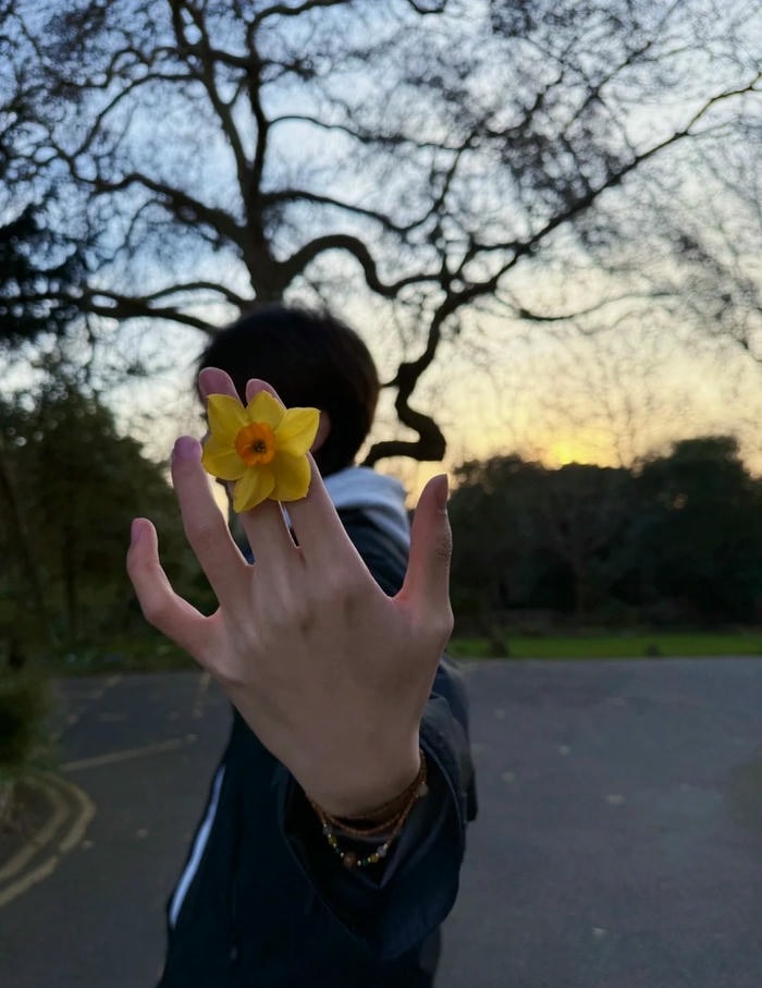 hình ảnh trai đẹp che mặt cute