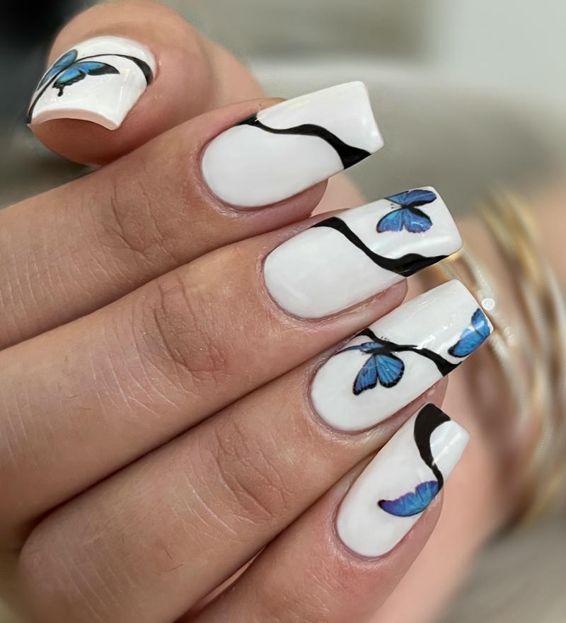 nail bướm vân đen