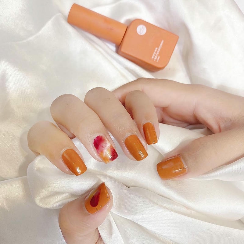 nail loang cam đất