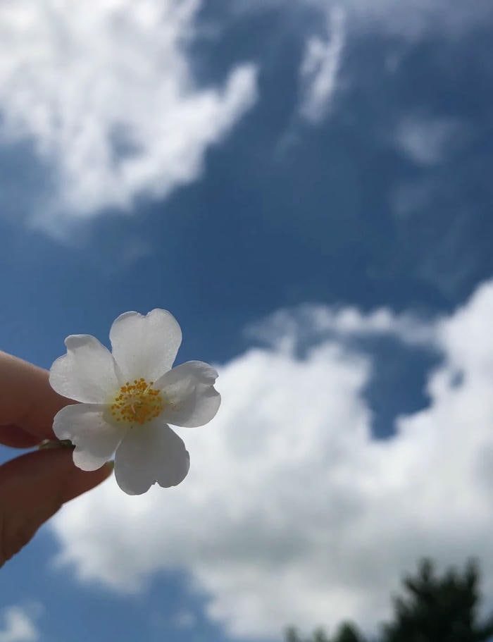ảnh bầu trời thư giãn