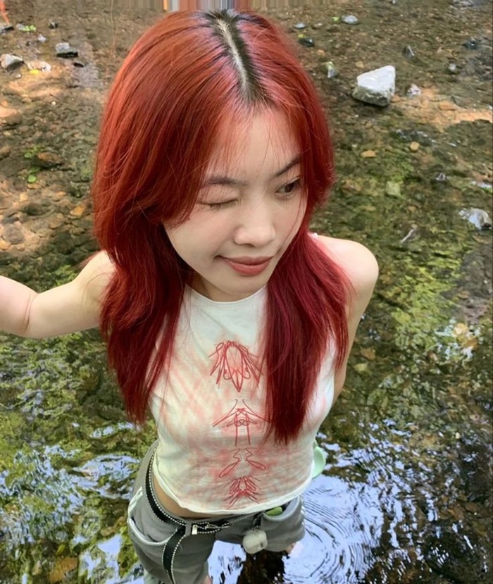 ảnh nâu ca