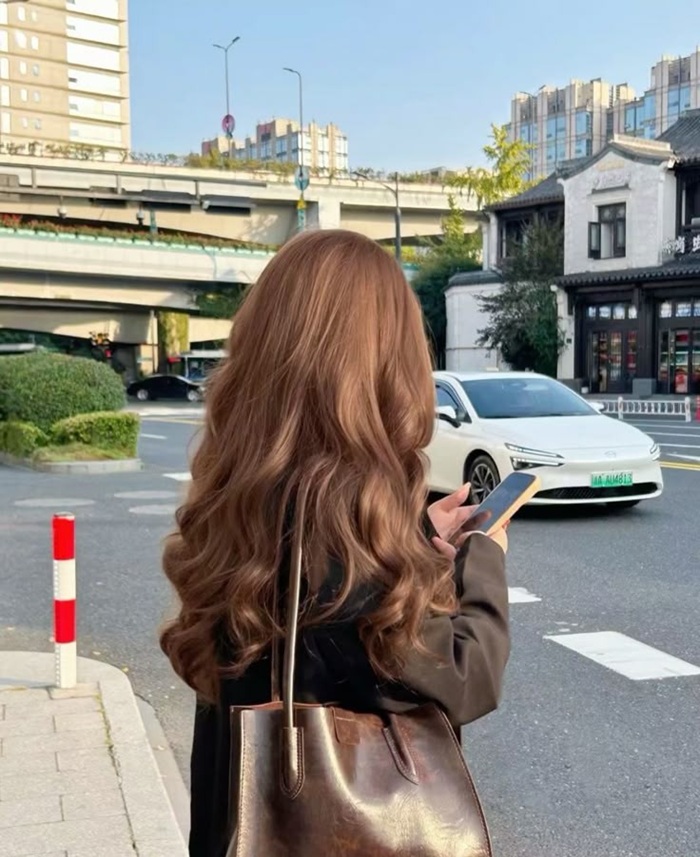 ảnh nâu hạt dẻ dưới nắng