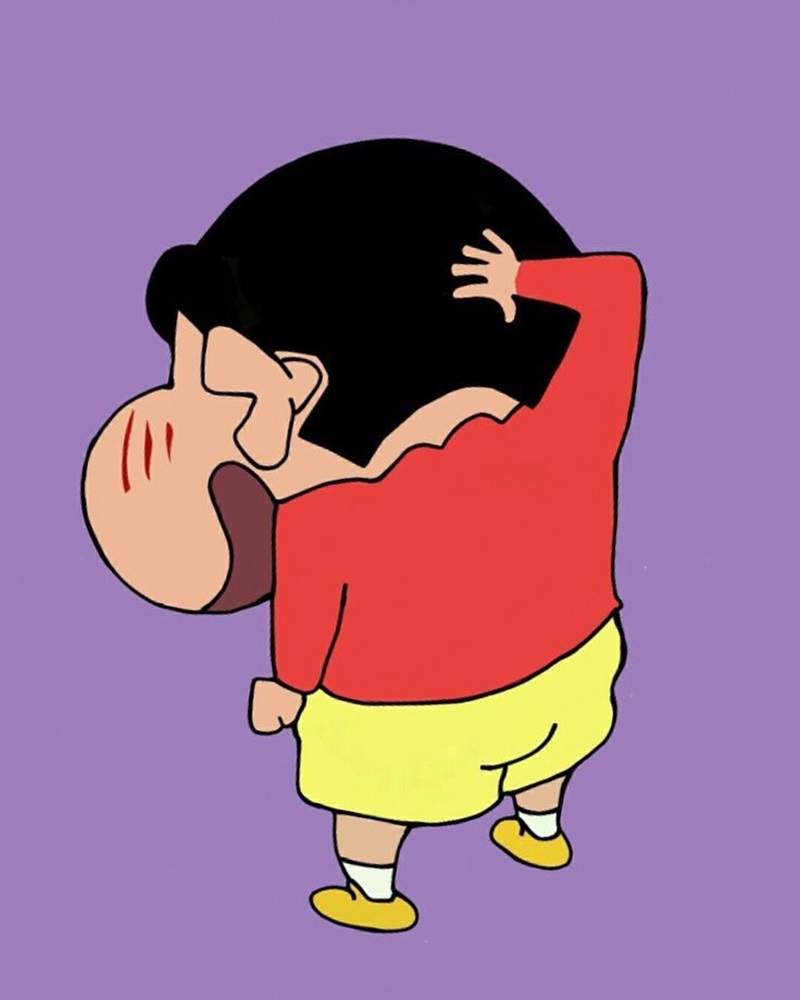 ảnh shin