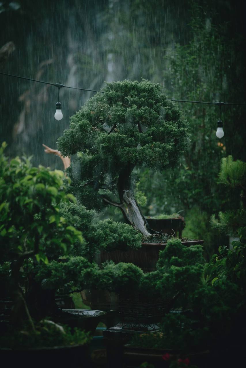 ảnh thiên nhiên đẹp nhất chill 4k