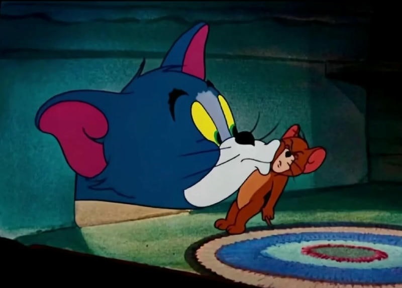 ảnh tom và jerry xinh đẹp