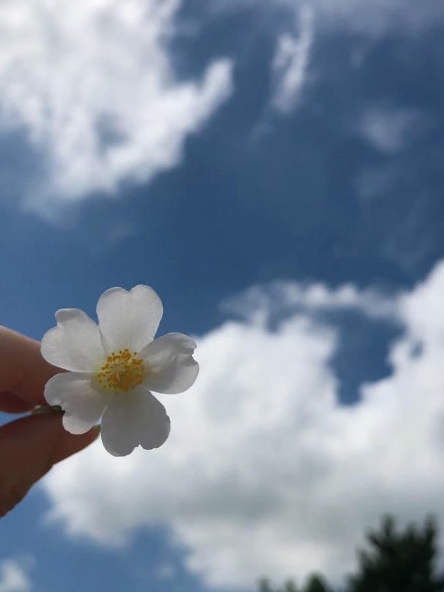 ảnh bầu trời thư giãn