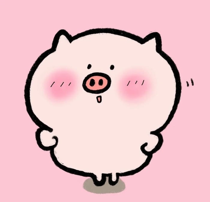 hình ảnh cute heo