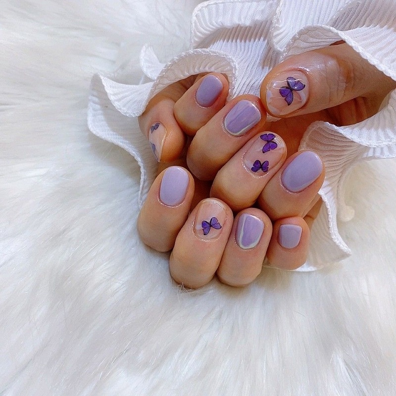 hình ảnh nail bướm 5
