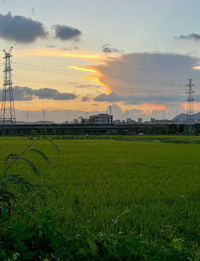 hình ảnh phong cảnh chill đẹp