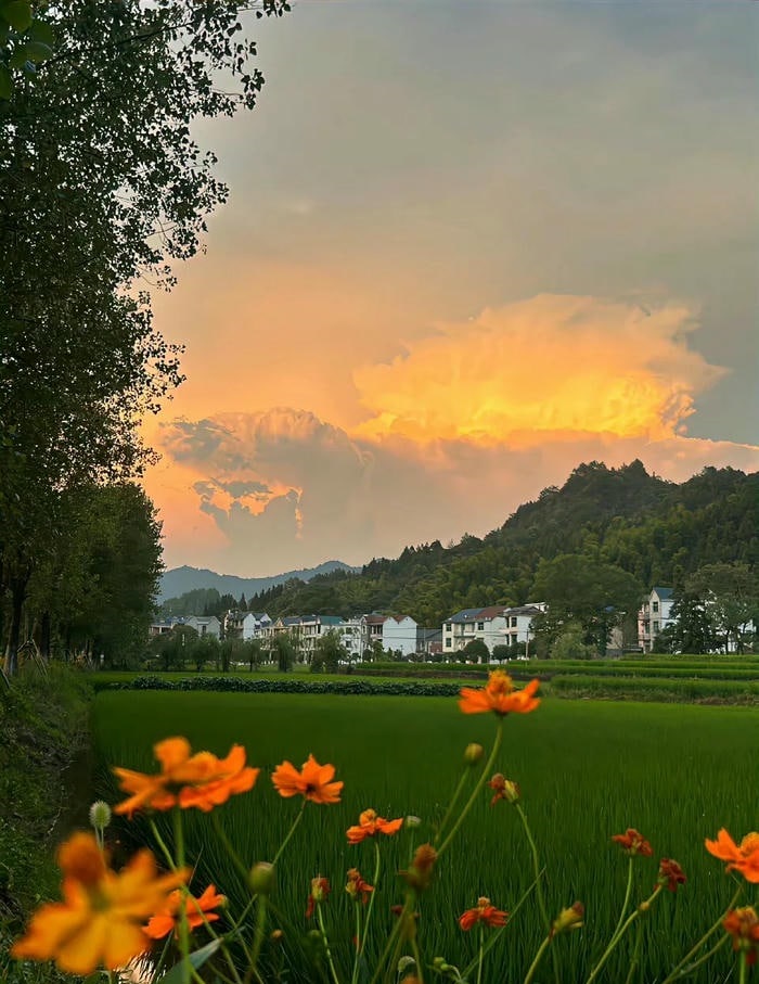 hình ảnh phong cảnh chill hd