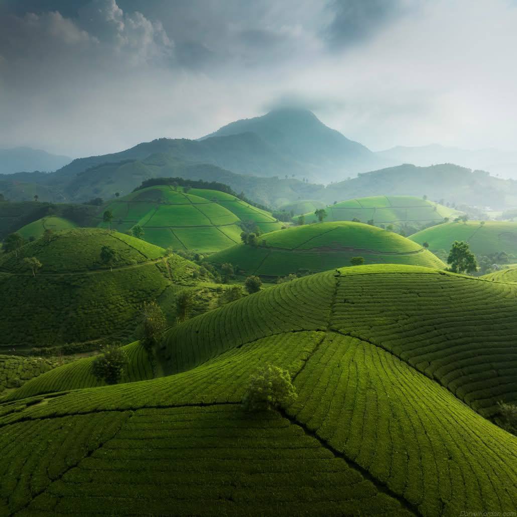 hình ảnh thiên nhiên đẹp full hd