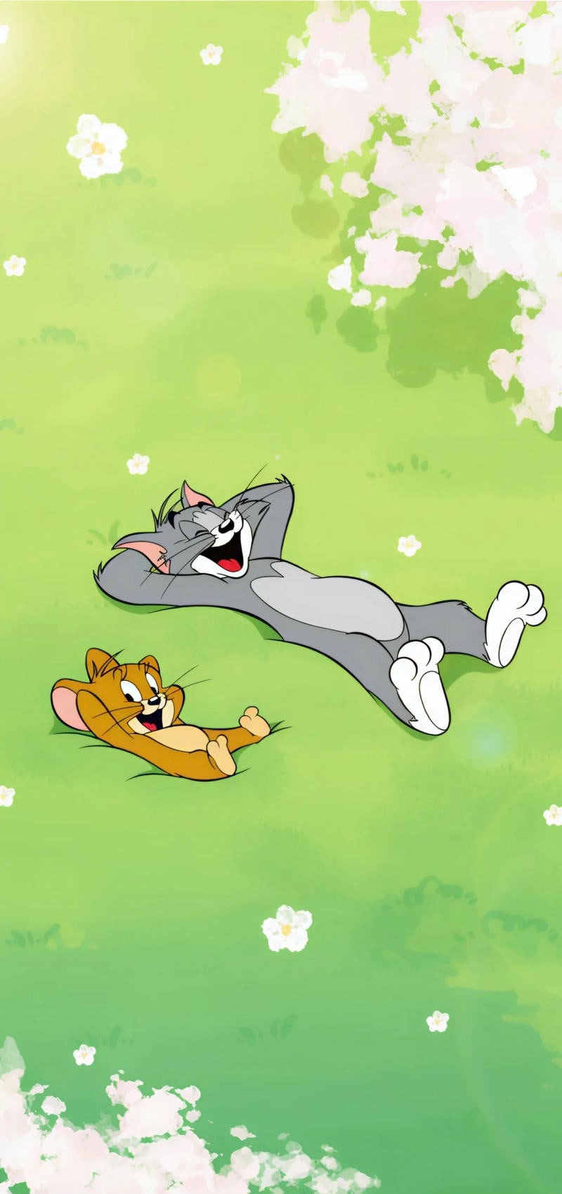 hình ảnh tom và jerry