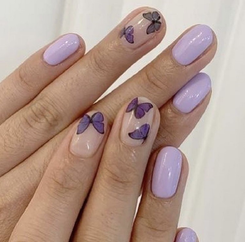 nail bướm 5