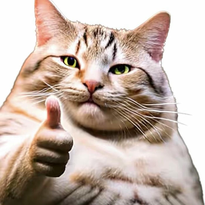 ảnh hình meme like mèo xinh