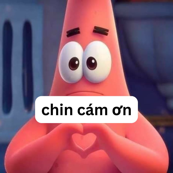 ảnh meme cảm ơn cute
