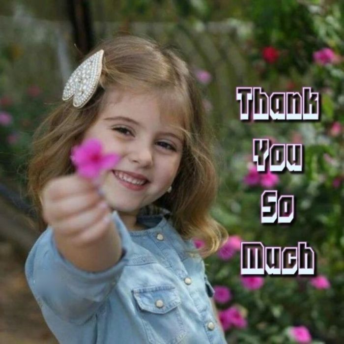 ảnh meme cảm ơn hài