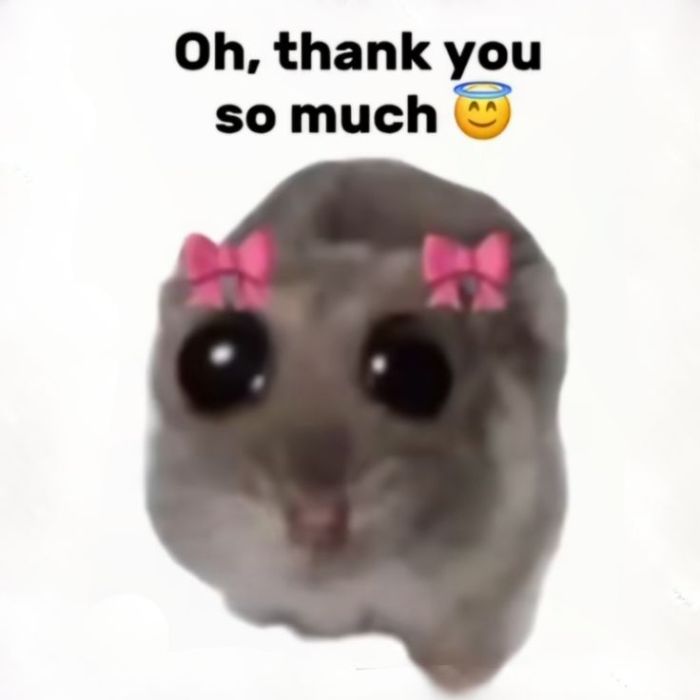 ảnh meme cảm ơn