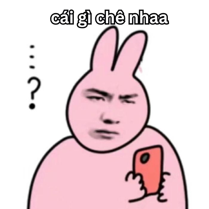 ảnh meme chê hài hước