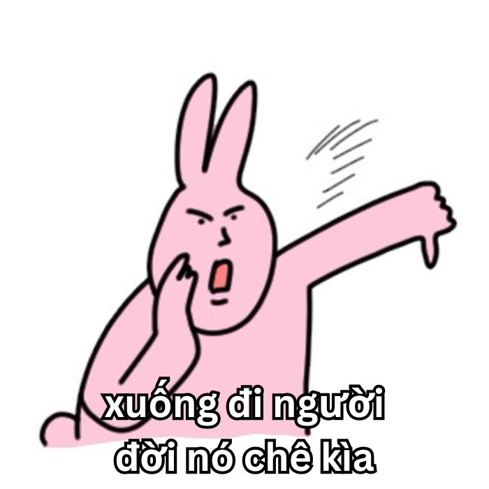 ảnh meme chê siêu hài hước