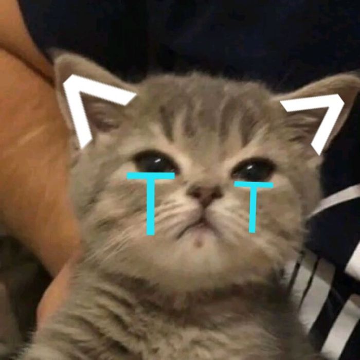 ảnh meme crying cực bựa