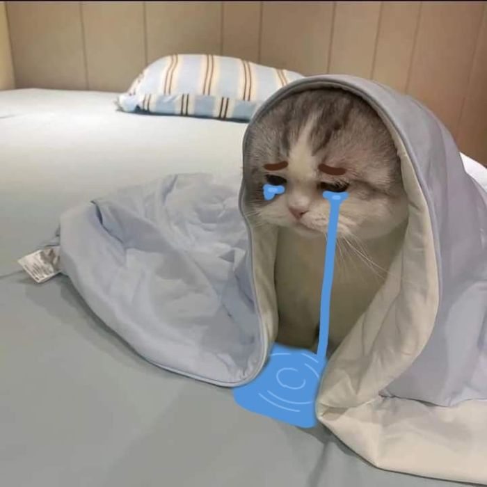 ảnh meme crying siêu bựa