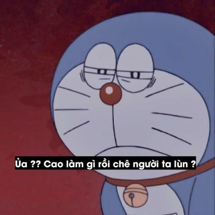 ảnh meme doraemon chế
