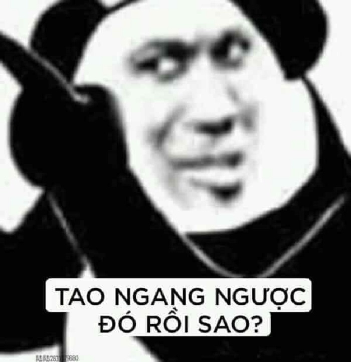 ảnh meme gấu trúc cực hài
