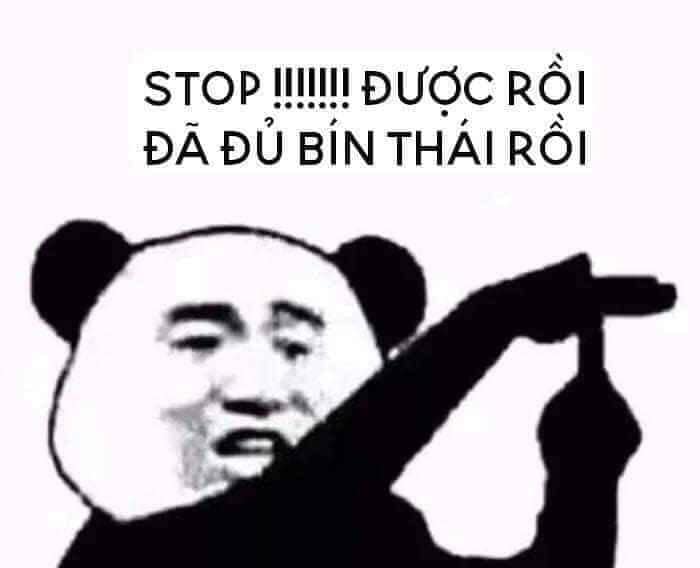 ảnh meme gấu trúc hài nhất
