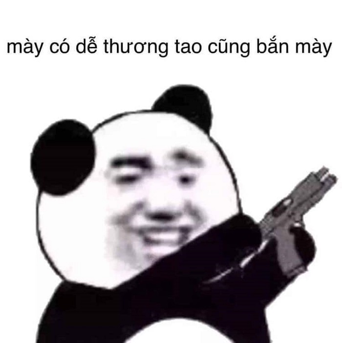 ảnh meme gấu trúc siêu hài