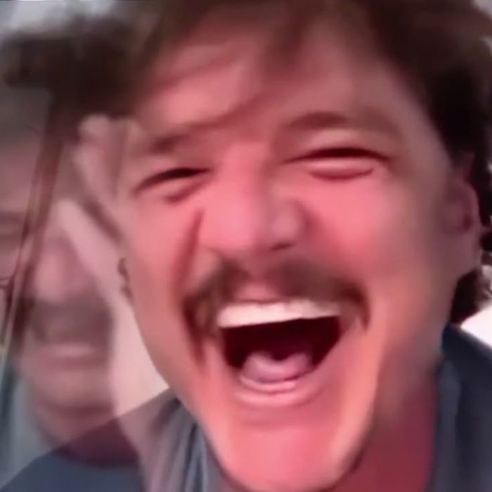 ảnh meme haha chế bựa