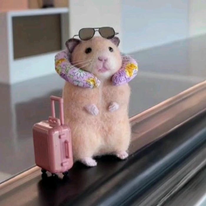 ảnh meme hamster đẹp