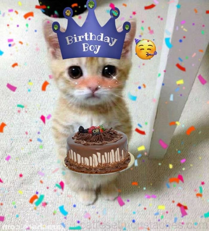 ảnh meme happy birthday cực hài