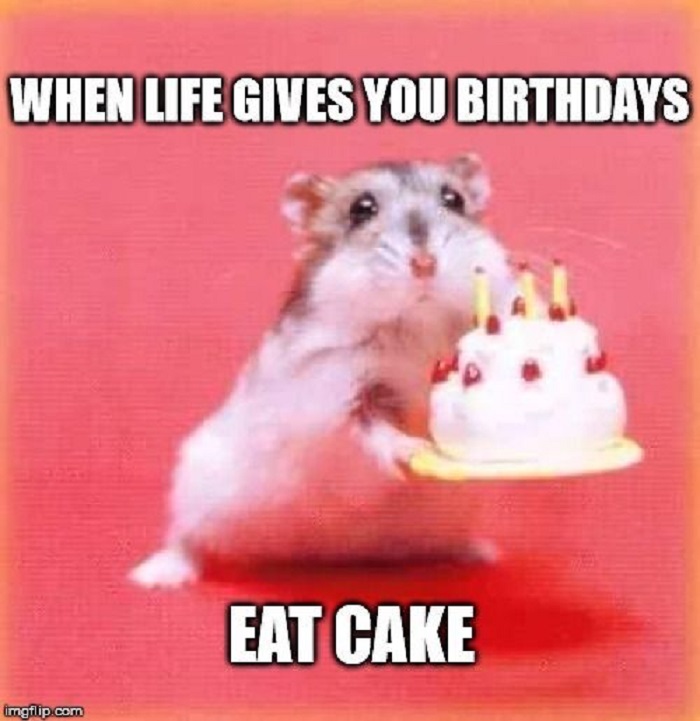 ảnh meme happy birthday cuti