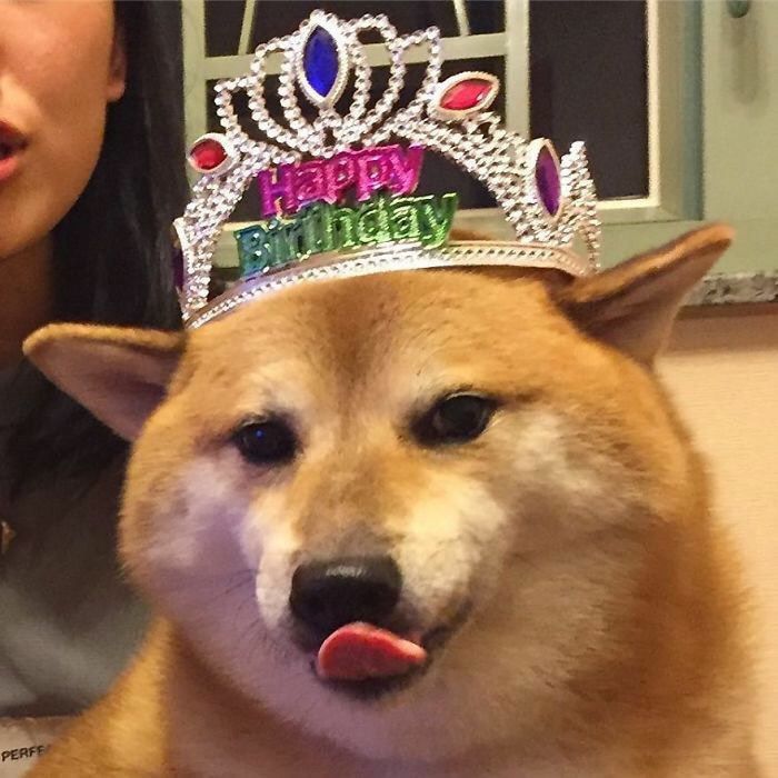 ảnh meme happy birthday hài nhất
