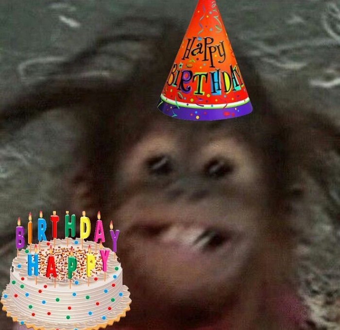 ảnh meme happy birthday hài