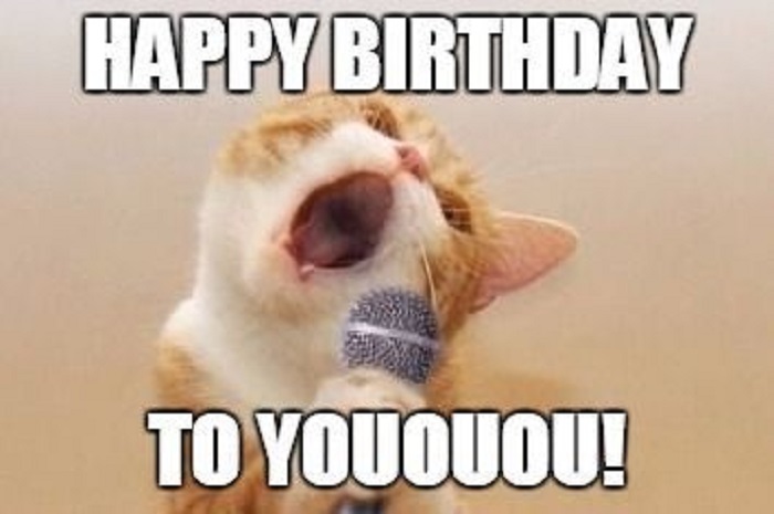 ảnh meme happy birthday mèo xinh