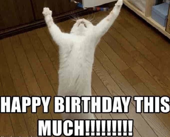 ảnh meme happy birthday nhây