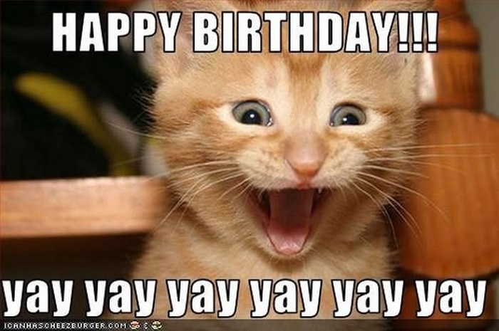 ảnh meme happy birthday siêu hài