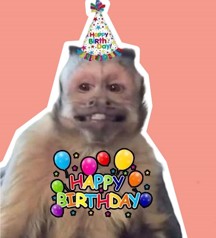 ảnh meme happy birthday