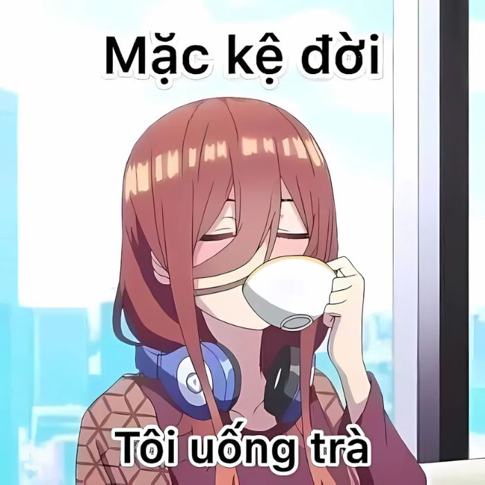 ảnh meme khinh bỉ chế