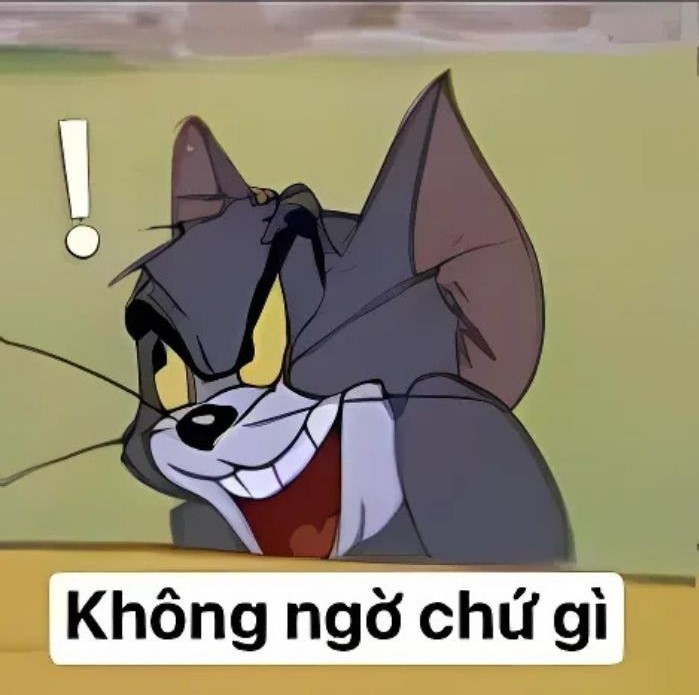 ảnh meme khinh bỉ hài nhất