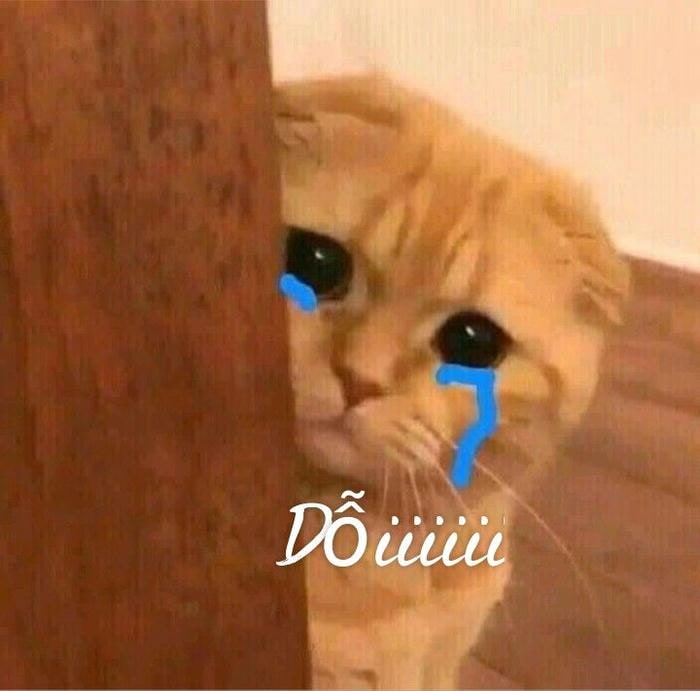 ảnh meme mèo khóc buồn nhất