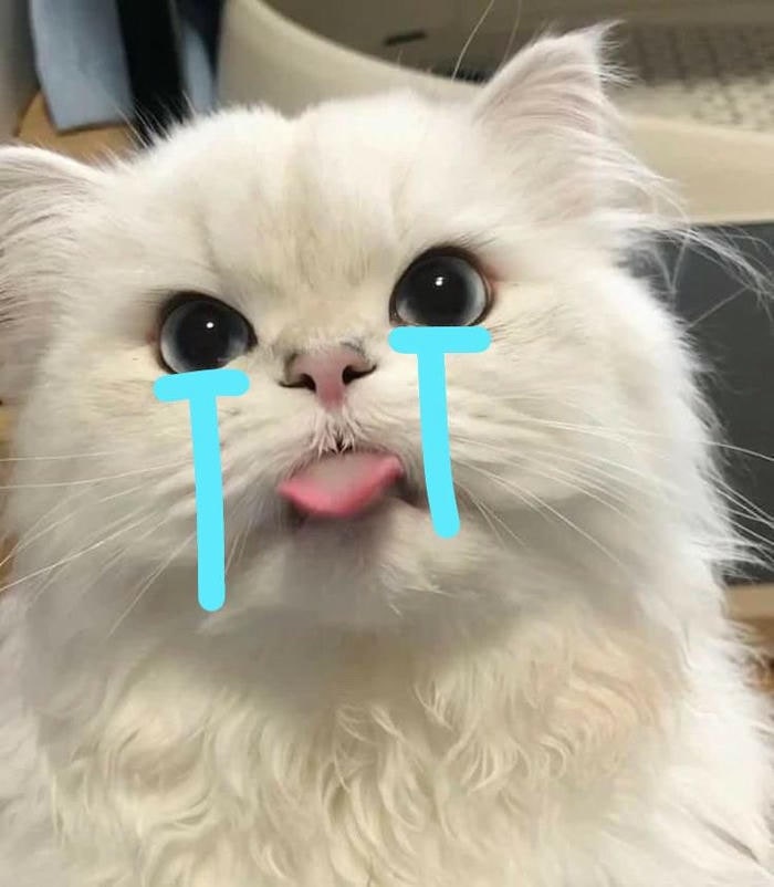 ảnh meme mèo khóc buồn