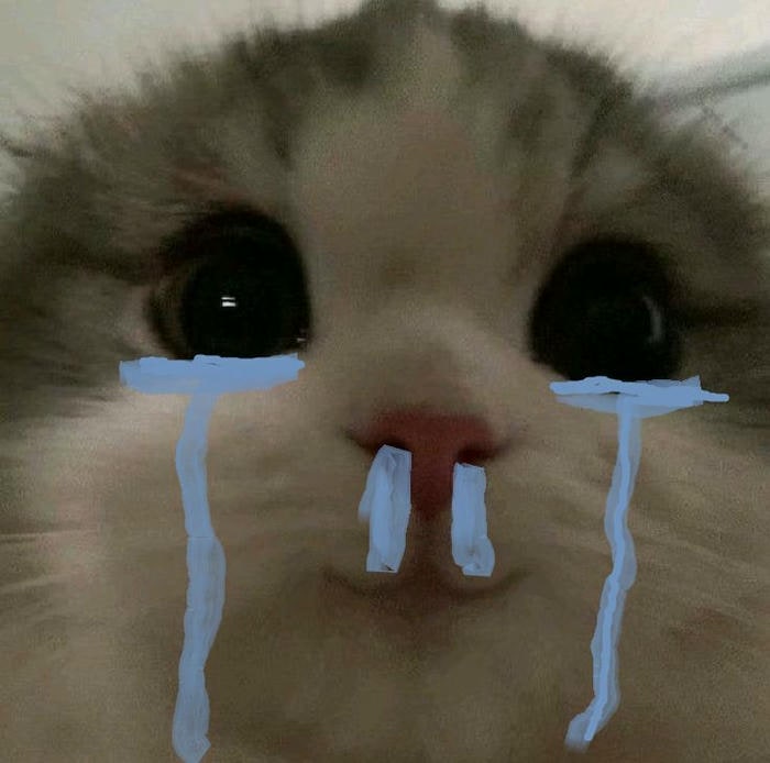 ảnh meme mèo khóc sad