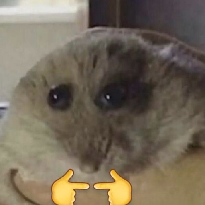 ảnh meme ngại chế