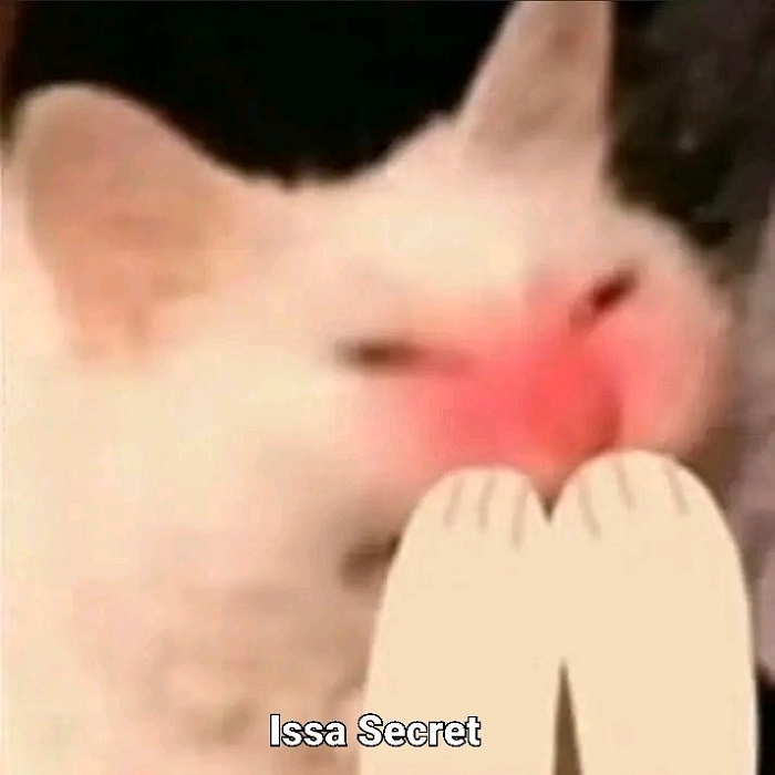 ảnh meme ngại hài