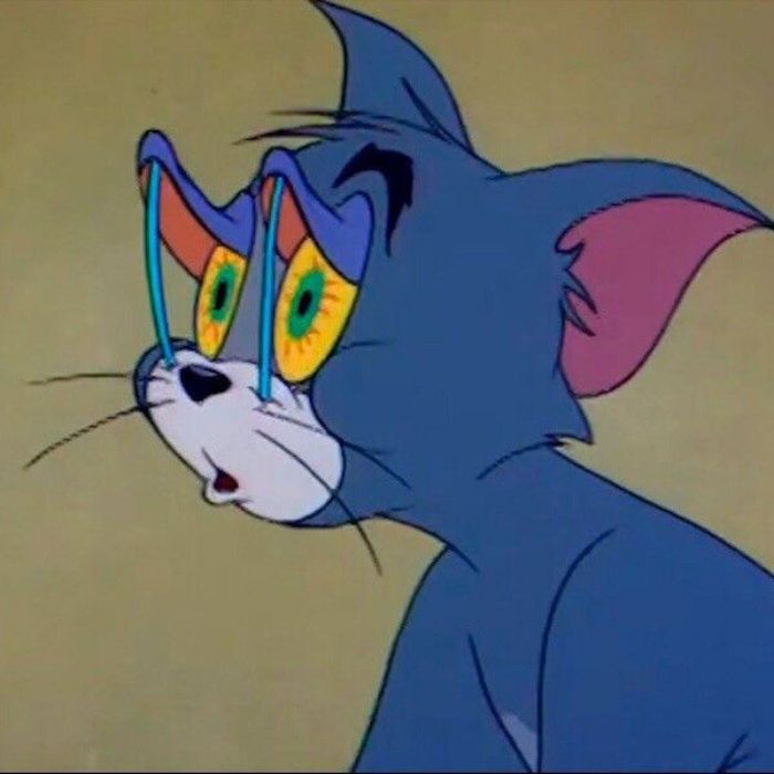 ảnh meme tom and jerry cực hài hước